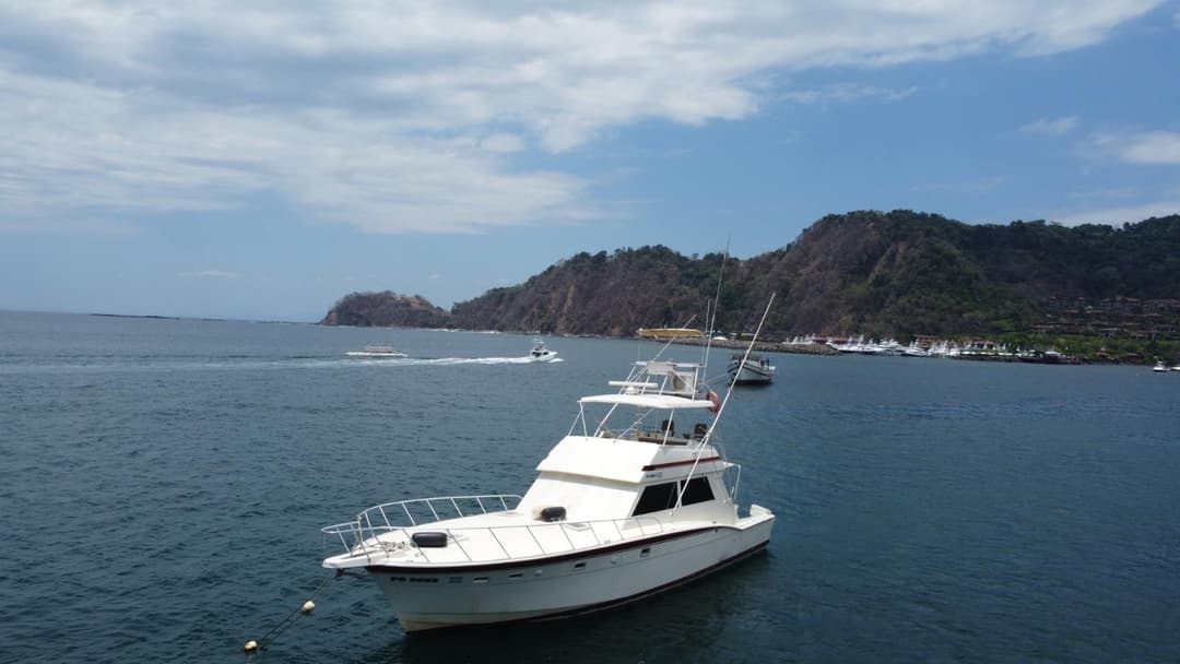 55′ Private Party Boat Charter