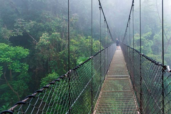 Ziplines, Hanging Bridges & Tarzan Swing