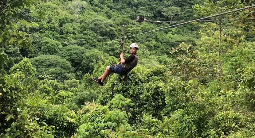 Ziplines, Hanging Bridges & Tarzan Swing