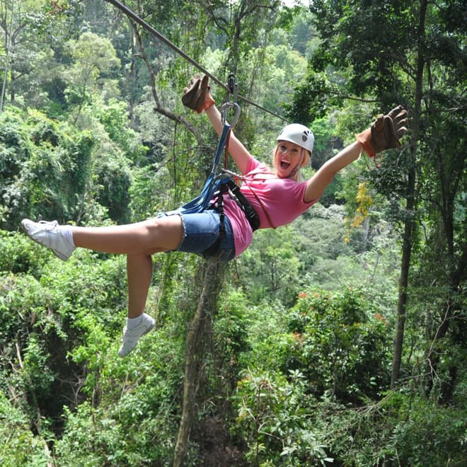 Ziplines, Hanging Bridges & Tarzan Swing