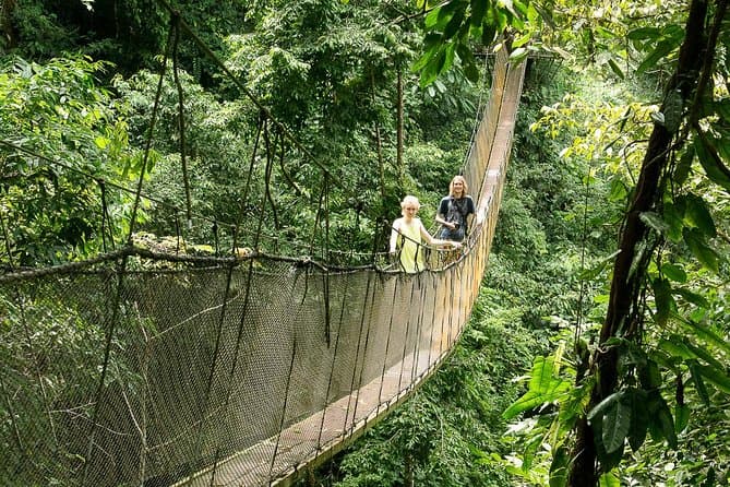 Ziplines, Hanging Bridges & Tarzan Swing