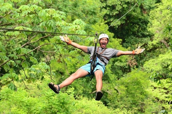 Ziplines, Hanging Bridges & Tarzan Swing