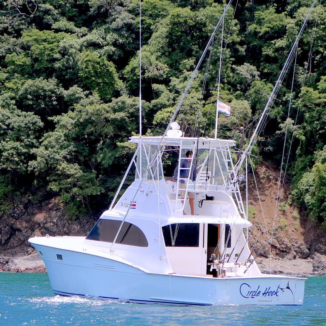 Circle Hook – 37′ Hatteras