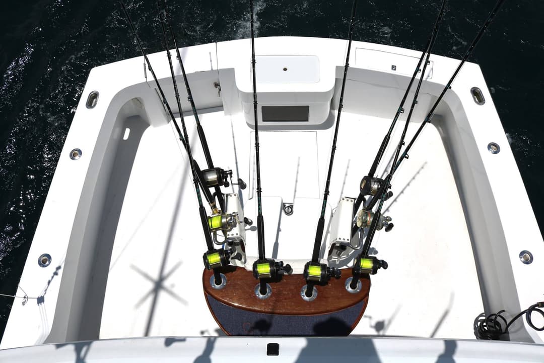 Circle Hook – 37′ Hatteras
