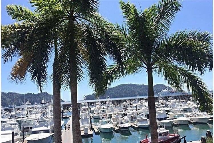 CRUNCH’EM – 48′ Custom