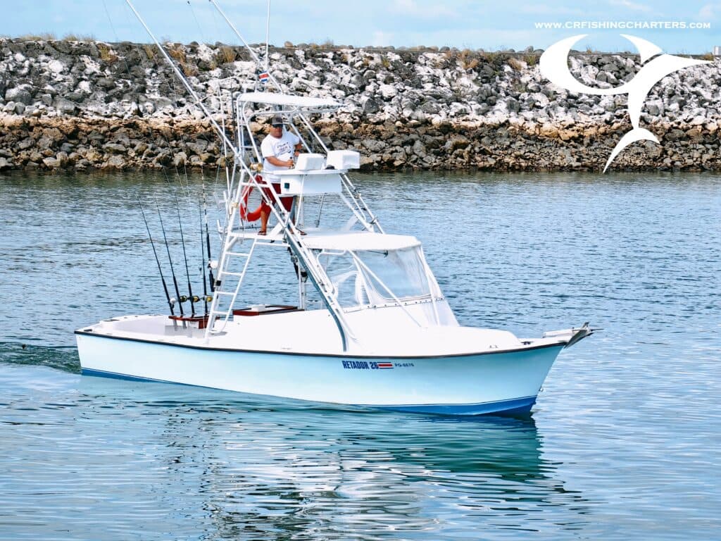 Predator – 28′ Shamrock Express