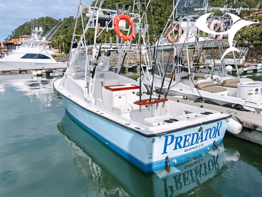 Predator – 28′ Shamrock Express
