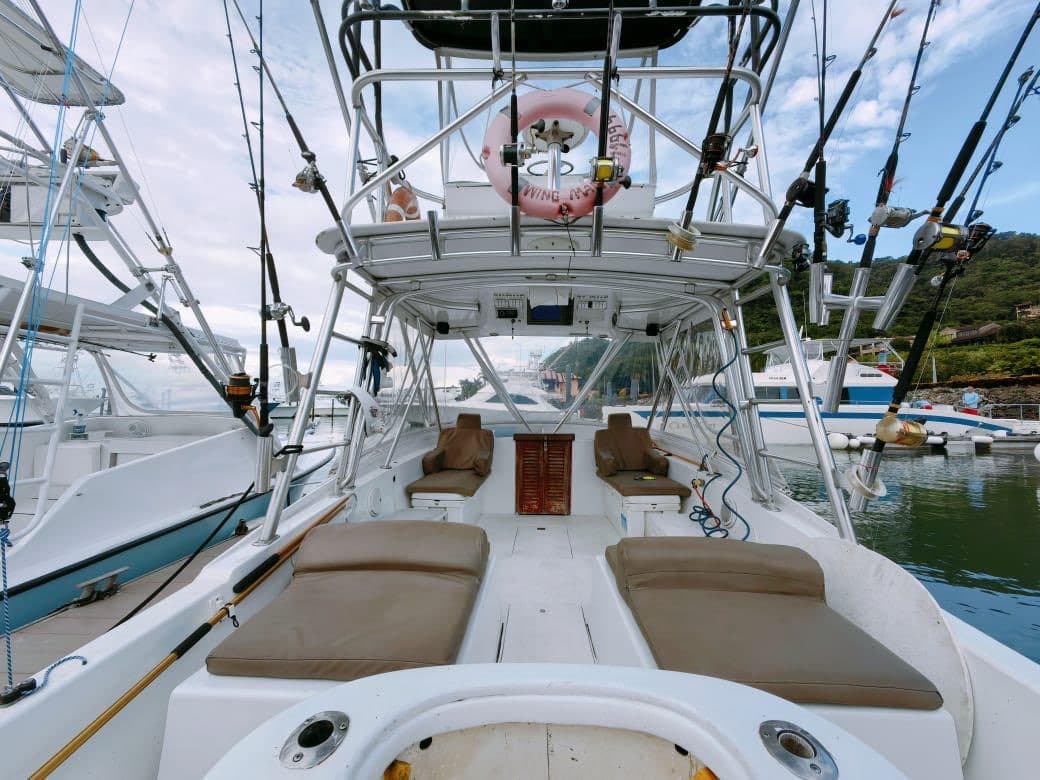 Wing Man – 29′ Chris Craft Custom