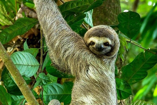 Manuel Antonio National Park