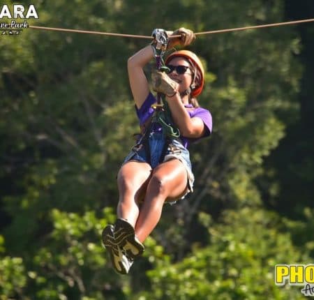 Ziplines, Hanging Bridges & Tarzan Swing